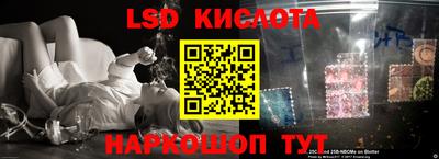 прущие крисы Мариинск