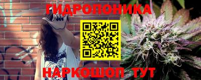 прущие крисы Мариинск