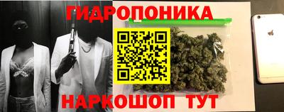 прущие крисы Мариинск