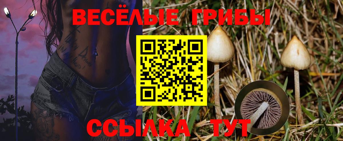 Псилоцибиновые грибы Cubensis  Псилоцибиновые грибы мицелий  Вход с VPN  Биробиджан 